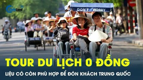 Bonobo: Nguồn Gốc Tiến Hóa Của Ngôn Ngữ Con Người?