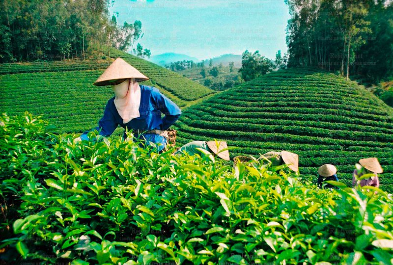 Làm Video Ngắn – Vừa Sáng Tạo, Vừa Kiếm Tiền Với Công Cụ Hữu Ích